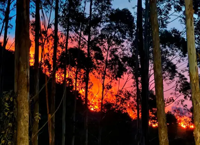 ¡Pilas con las quemas! Barbosa decretó alerta naranja por incendios forestales