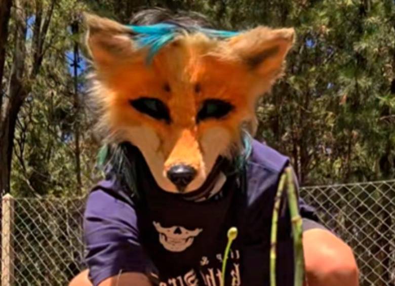 Video: así son los “Therian”, comunidad de jóvenes que se identifican como animales