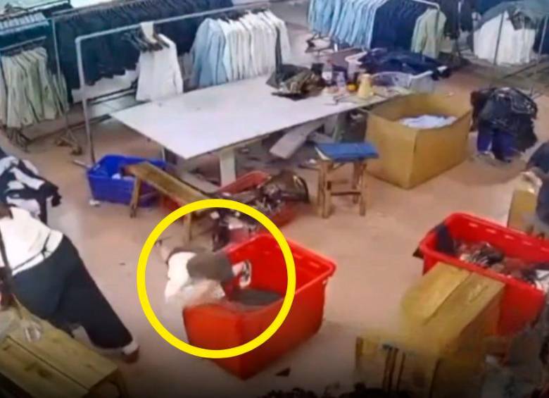 EN VIDEO: Niño murió asfixiado bajo una pila de ropa en una fábrica
