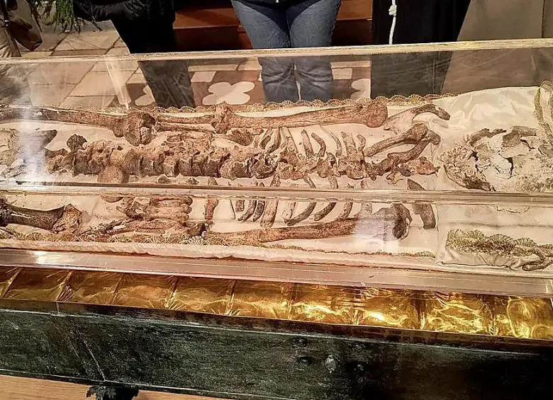 Más de 400.000 personas se han inscrito para visitar los restos del santo italiano. FOTO: AFP