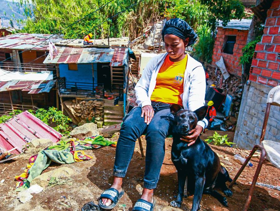 Marcelina Valencia está al lado de su perra, sentada en una silla, viendo cómo funcionarios de la Alcaldía tumban su vivienda y la de su hermano. FOTO: <b>JULIO CÉSAR HERRERA</b>
