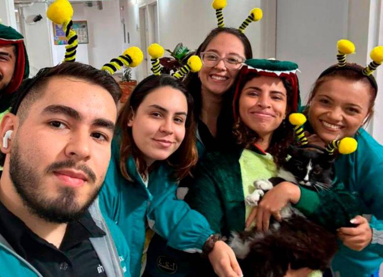 Michín, el gato que se robó el corazón de todos en Campo Valdés