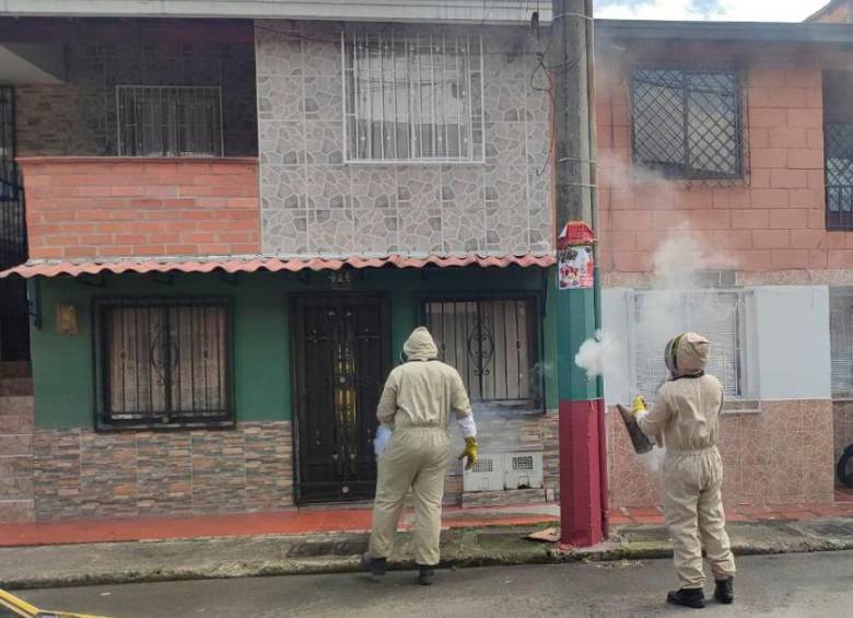 Abejas causaron pánico en Itagüí y hasta picaron a una persona
