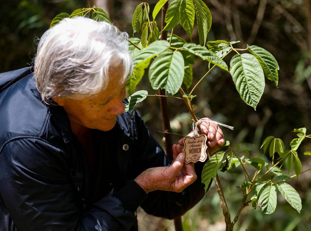 Permitir a las familias encontrarse unas con otras, recordar a los seres queridos que ya no están y elaborar un duelo truncado por el virus. Foto: Manuel Saldarriaga Quintero.