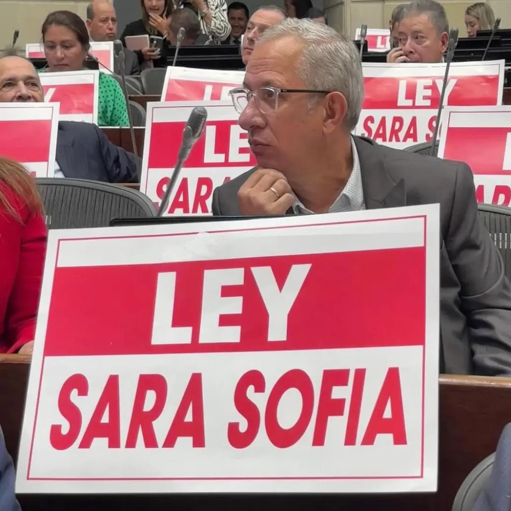 La Corte Constitucional declaró exequible la ley. FOTO: SENADO DE LA REPÚBLICA.