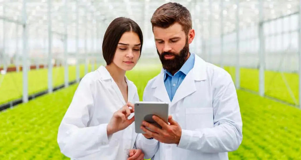 Con 20 años de trayectoria, Cartama continúa creciendo y generando empleo formal en el campo colombiano a través de su modelo de producción sostenible. FOTO: GETTY