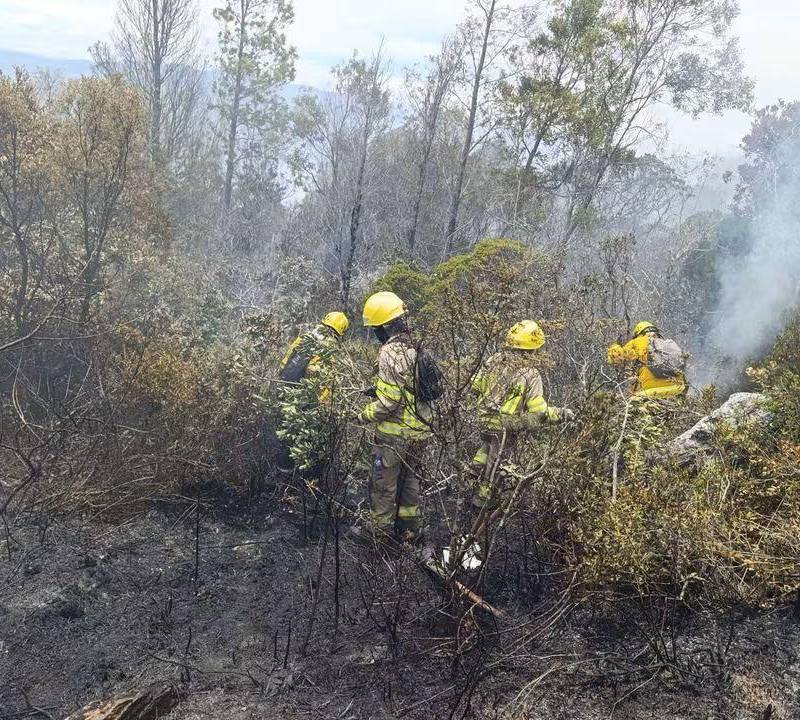 Cientos de personas trabajaron durante varios días para controlar la conflagración. Foto: Ungrd. 