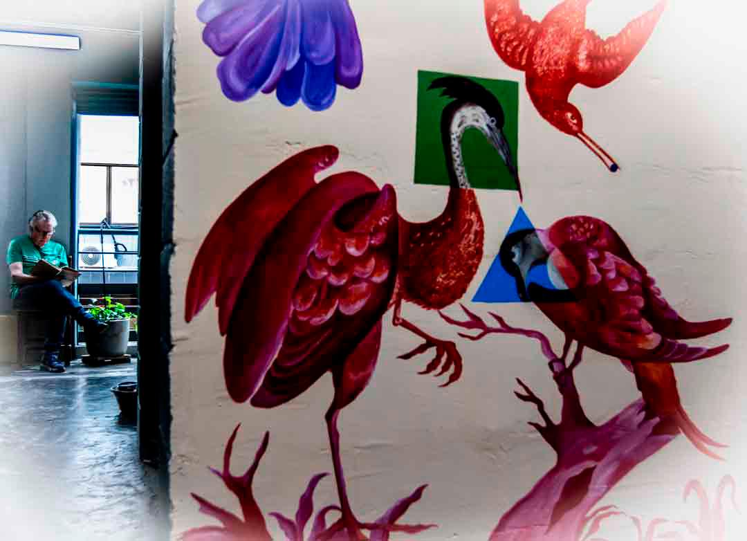La iniciativa, concebida para revitalizar uno de los referentes culturales de la ciudad, ha logrado fusionar el mundo de los libros con la expresividad del arte callejero. Foto: Julio César Herrera