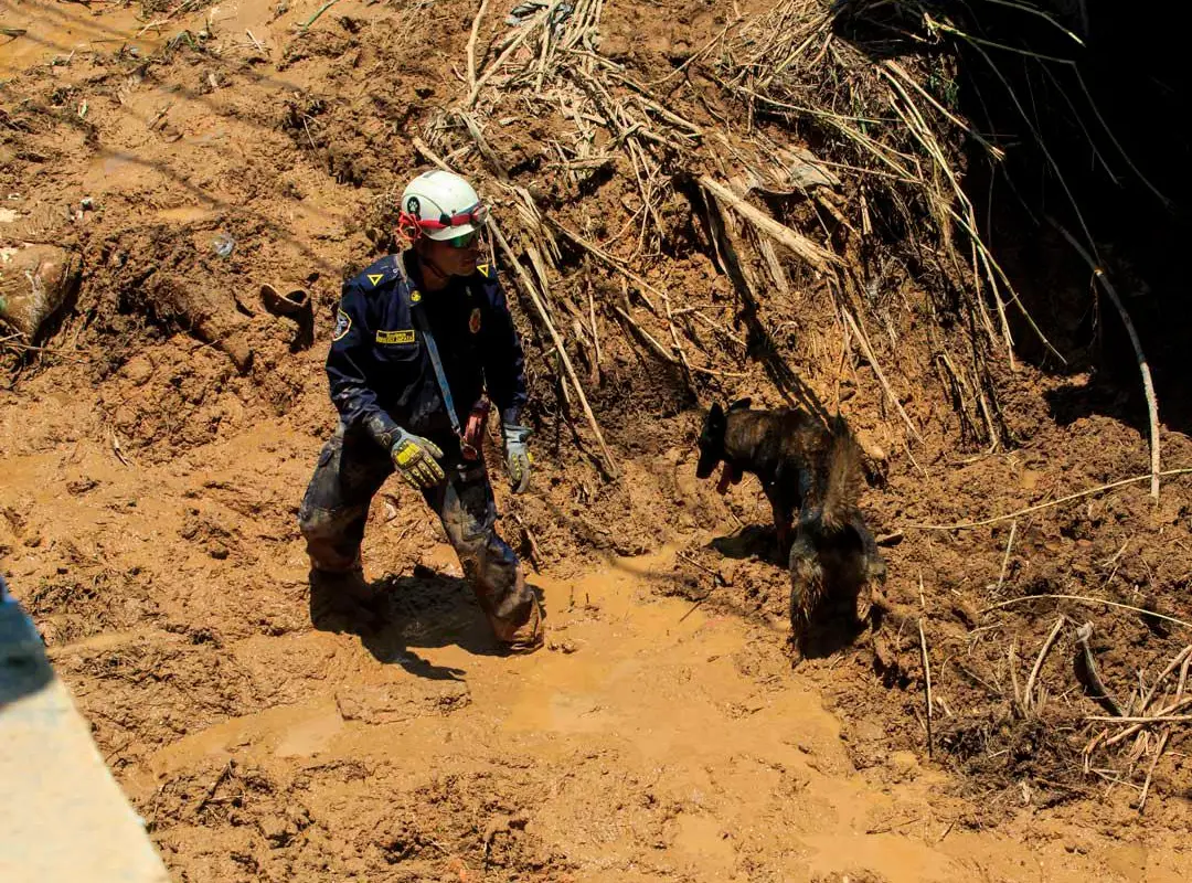 Ante este deslizamiento, se evacuaron 23 viviendas y se identificaron 21 puntos críticos, los cuales son atendidos simultáneamente por los organismos de socorro de Sabaneta con el fin de evitar otra tragedia. Foto: Camilo Suárez Echeverry