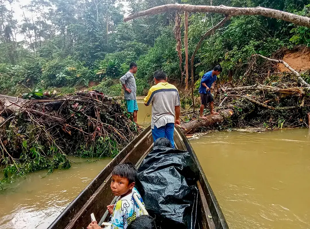 Además, la situación ha impactado seriamente la economía local, ya que cientos de hectáreas de cultivos han sido arrasadas por la crecida del río, poniendo en riesgo la seguridad alimentaria de la región. Foto: Joiner Palomeque