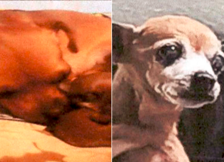 Estas son algunas de las fotografías de Lulu, la perrita que habría sido ahorcada por un falso veterinario en Ibagué. FOTO: FISCALÍA