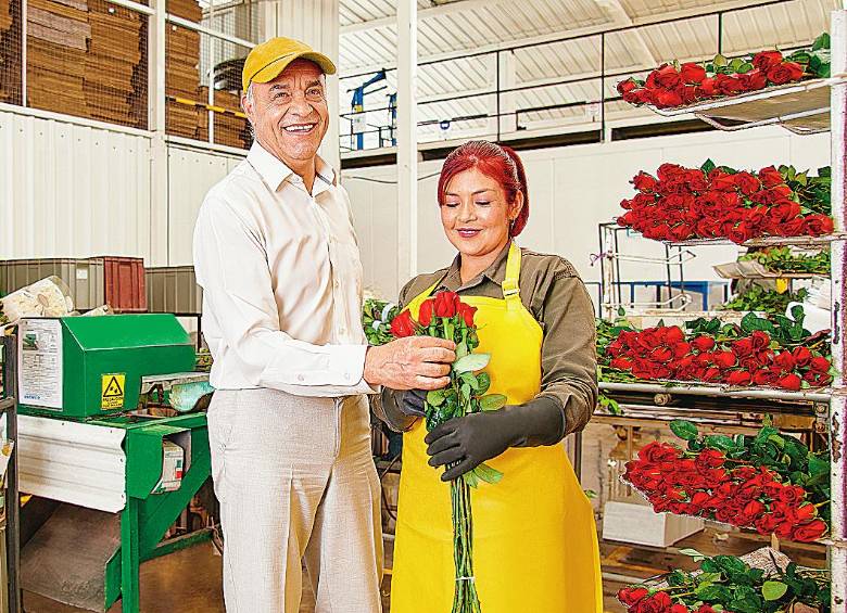 Bancolombia tiene bolsa de $500 billones para proyectos verdes