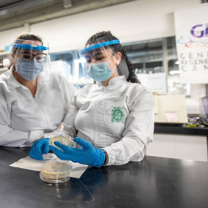 Uno de los ítems generales a mejorar es la investigación. Foto: Camilo Suárez