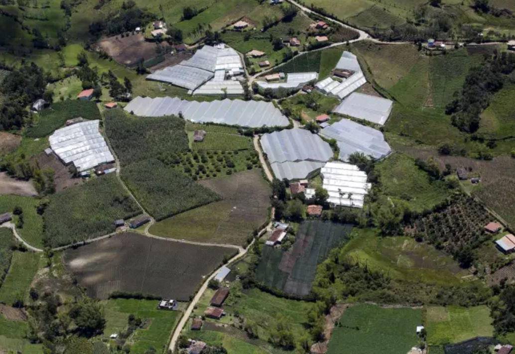 La denuncia de Noticias Caracol muestra que se habrían apropiado de 700 hectáreas del Estado. Foto: Archivo