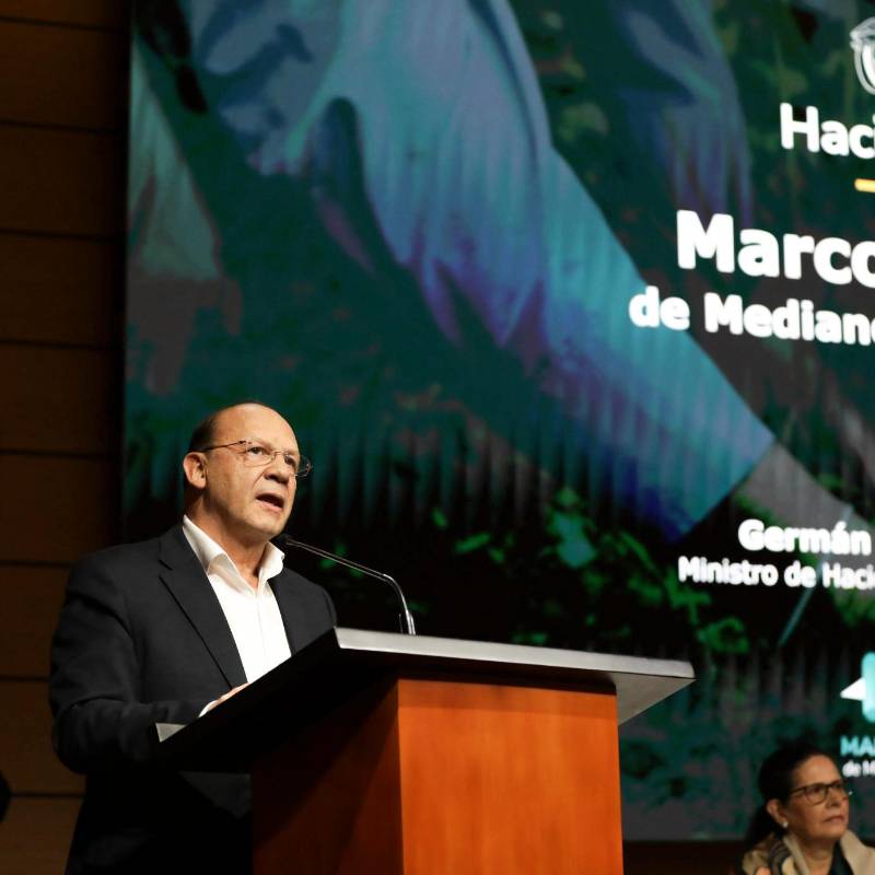 El ministro de Hacienda, Germán Ávila, presentó el viernes el Marco Fiscal de Mediano Plazo del año 2025. FOTO cortesía