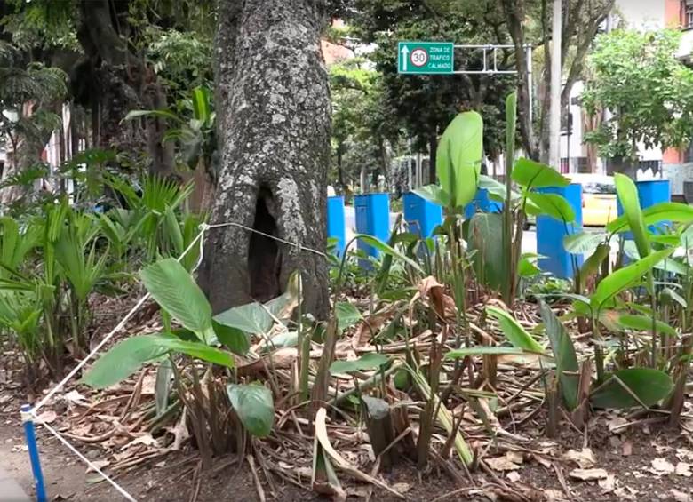 En la avenida La Playa el poco mantenimiento es evidente desde el Teatro Pablo Tobón hasta el Pasaje Junín. FOTO Alejandro Bermúdez