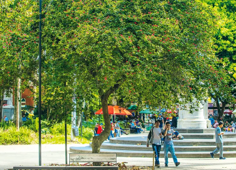Aspecto del Parque de Bolívar, uno de los principales pulmones del Centro de Medellín. FOTO CAMILO SUÁREZ