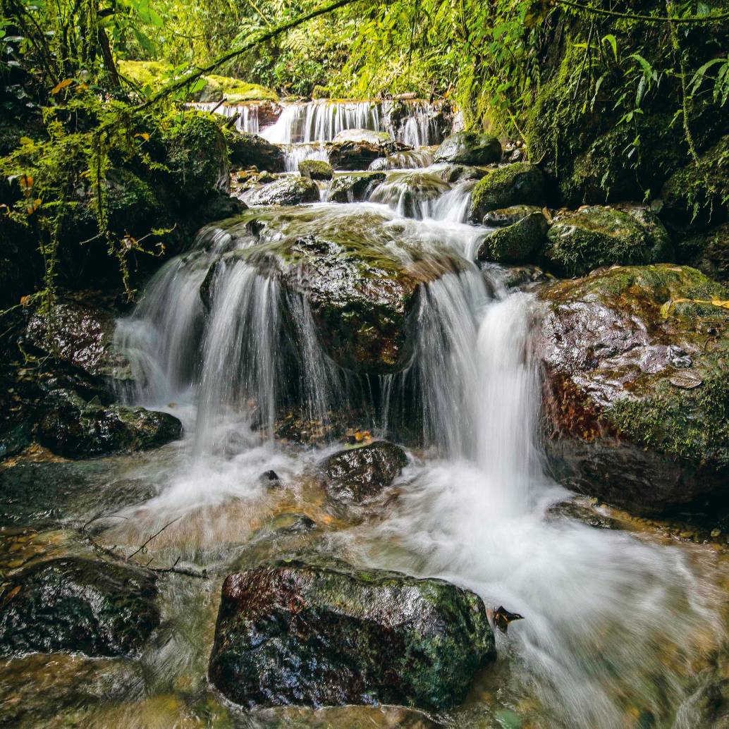 Reserva Natural El Romeral en el municipio de La Estrella. Área protegida estratégica para el Valle de Aburrá al abarcar más de cinco mil hectáreas de bosque, cascadas y montañas. Foto: Edwin Bustamante. Archivo El Colombiano