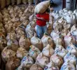 Sectores del agro con vocación exportadora alertan del impacto por la caída del precio del dólar. FOTO Julio César Herrera