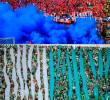 Los hinchas de Nacional y Medellín son los que mejor promedio tienen de asistencia a los duelos de la Liga Betplay. FOTO EC