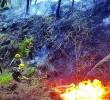 En lo que va de este año se han registrado 12 incendios forestales en el Cerro Quitasol. FOTO EL COLOMBIANO.