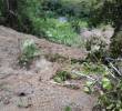 Deslizamiento de tierra causa una tragedia en la vereda El Toro, en el municipio de Dabeiba. FOTO: Cortesía