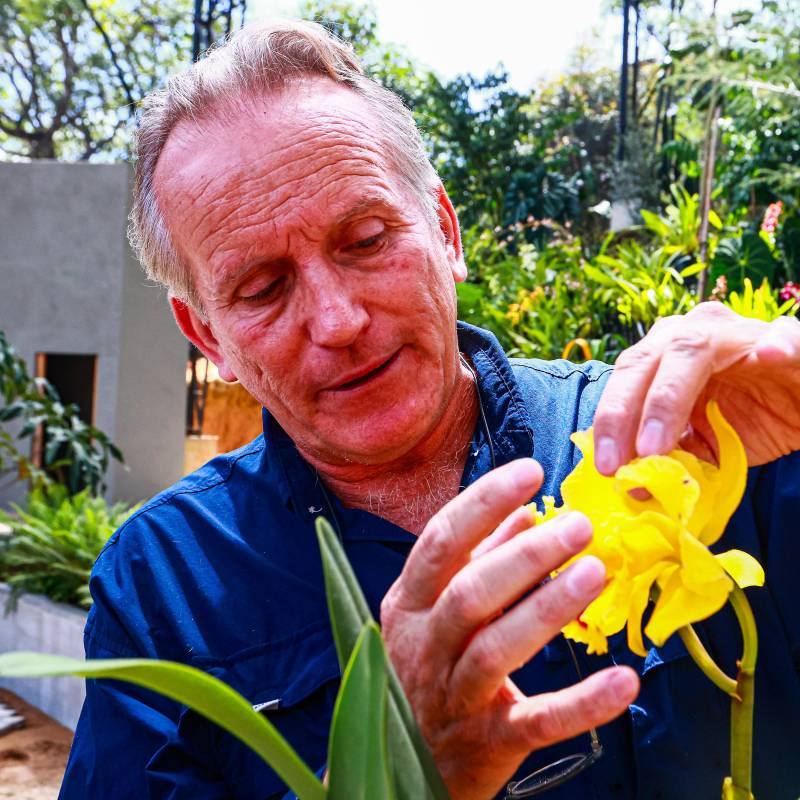 Un santuario con 25.000 orquídeas en La Ceja, Antioquia, busca salvar especies de la extinción