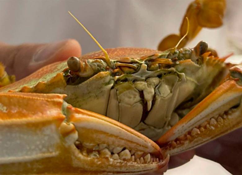 Otra estrella Michelin para un colombiano