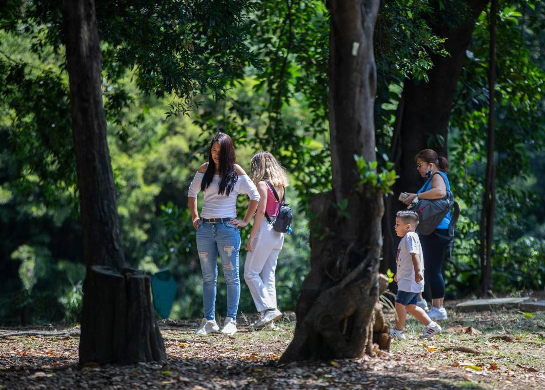 El Jardín Botánico de Medellín es un espacio cultural y natural creado hace 48 años, pero con raíces en las postrimerías del siglo XIX. Foto: Manuel Saldarriaga Quintero.