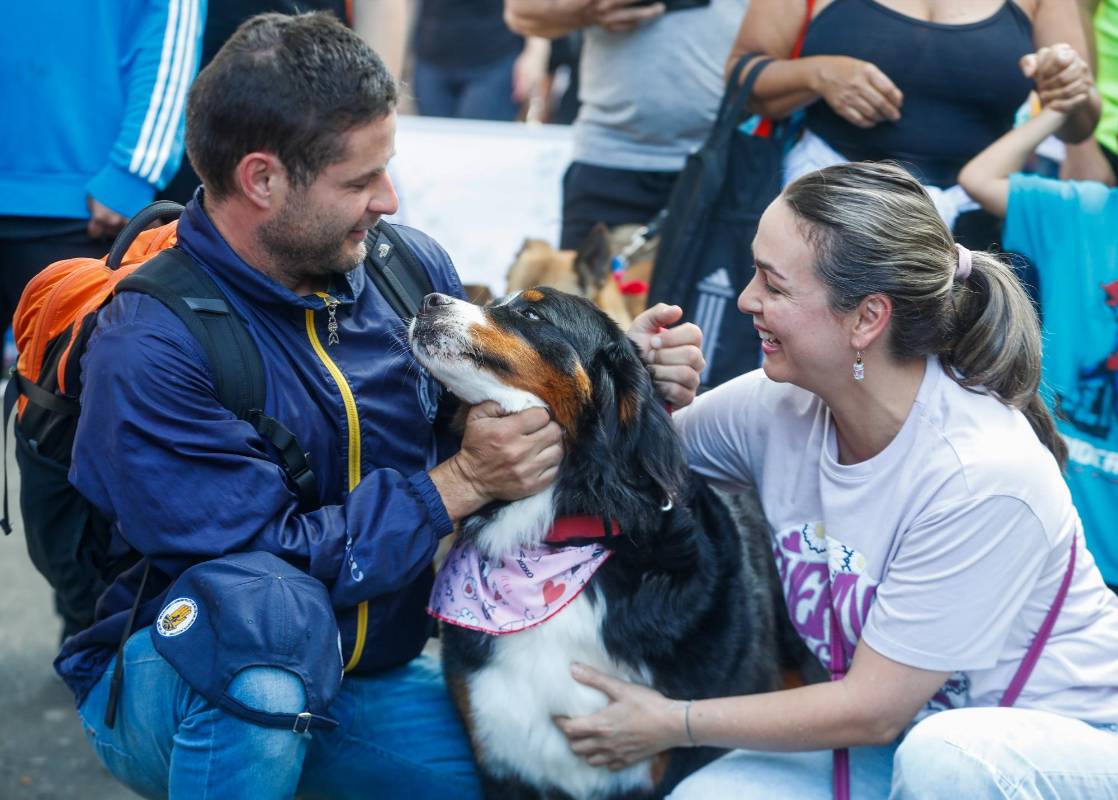 Con estos eventos también se busca crear conciencia en las personas para que entiendan la importancia de los animales que tanto bien le hacen a las familias. Foto: MANUEL SALDARRIAGA QUINTERO.