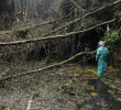 Por la caída de varios árboles de gran tamaño y postes de redes eléctricas, la Loma El Escobero está cerrada desde el aguacero del jueves. Foto: cortesía.