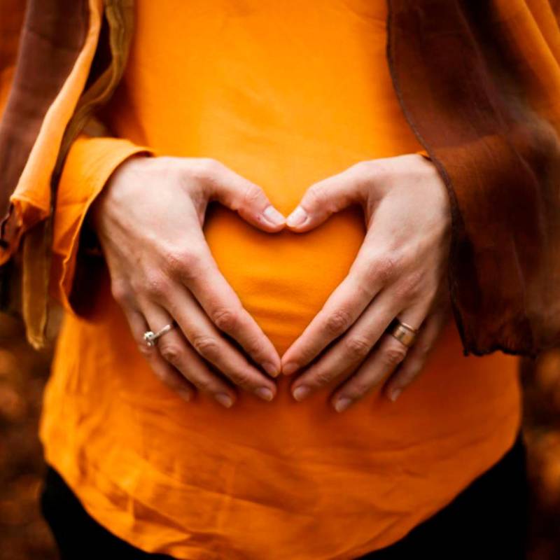 l primer trimestre es un periodo crítico: durante esta etapa comienzan a formarse los órganos del bebé y la placenta. Foto Agencia Sinc