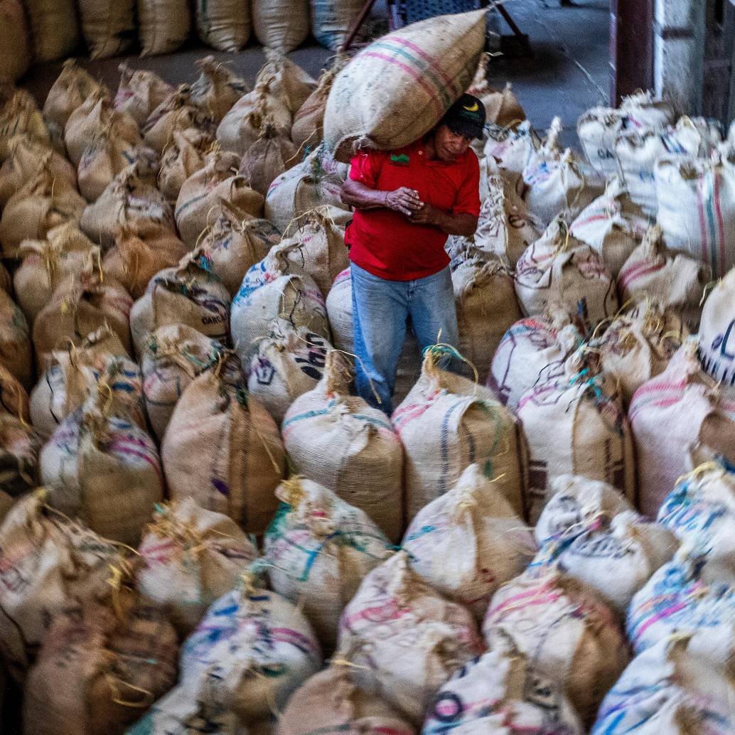 Sectores del agro con vocación exportadora alertan del impacto por la caída del precio del dólar. FOTO Julio César Herrera