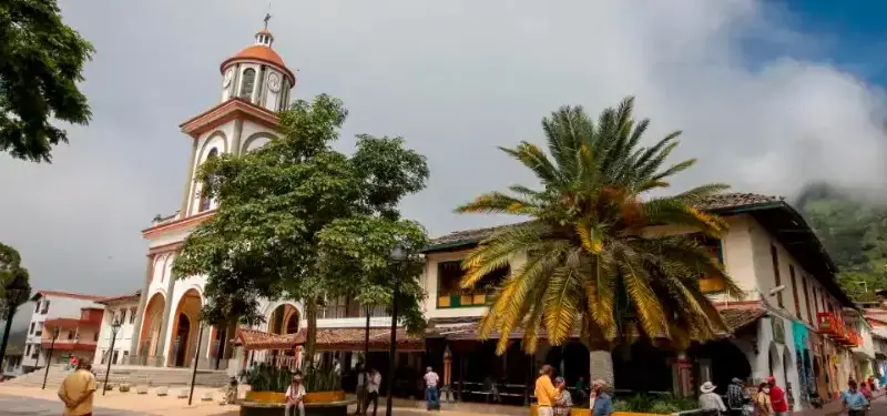 Tragedia en Támesis, Antioquia: asesinaron a un hombre y robaron tres vehículos