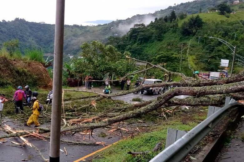En la vía a San Jerónimo cayeron varios árboles que taponaron parcialmente el paso. FOTO CORTESÍA DEVIMAR