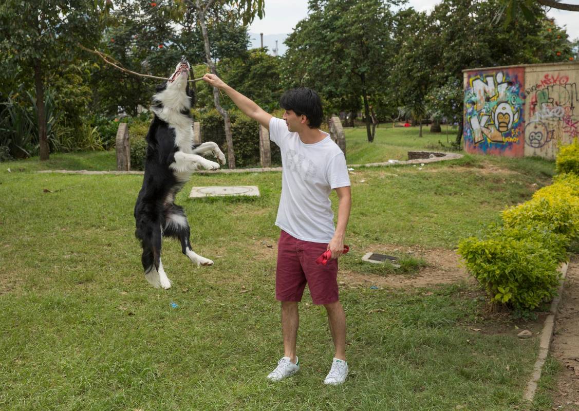 Ciudad del Río es un espacio para el disfrute del ambiente e ideal para las mascotas. Foto: Edwin Bustamante