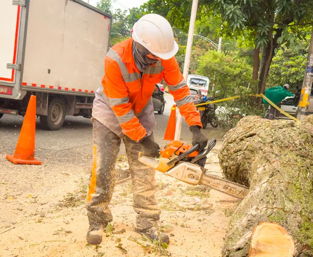 Las solicitudes para intervención de árboles en riesgo han aumentado tras la ola de incidentes en la ciudad. FOTO: CORTESÍA ALCALDÍA DE MEDELLÍN