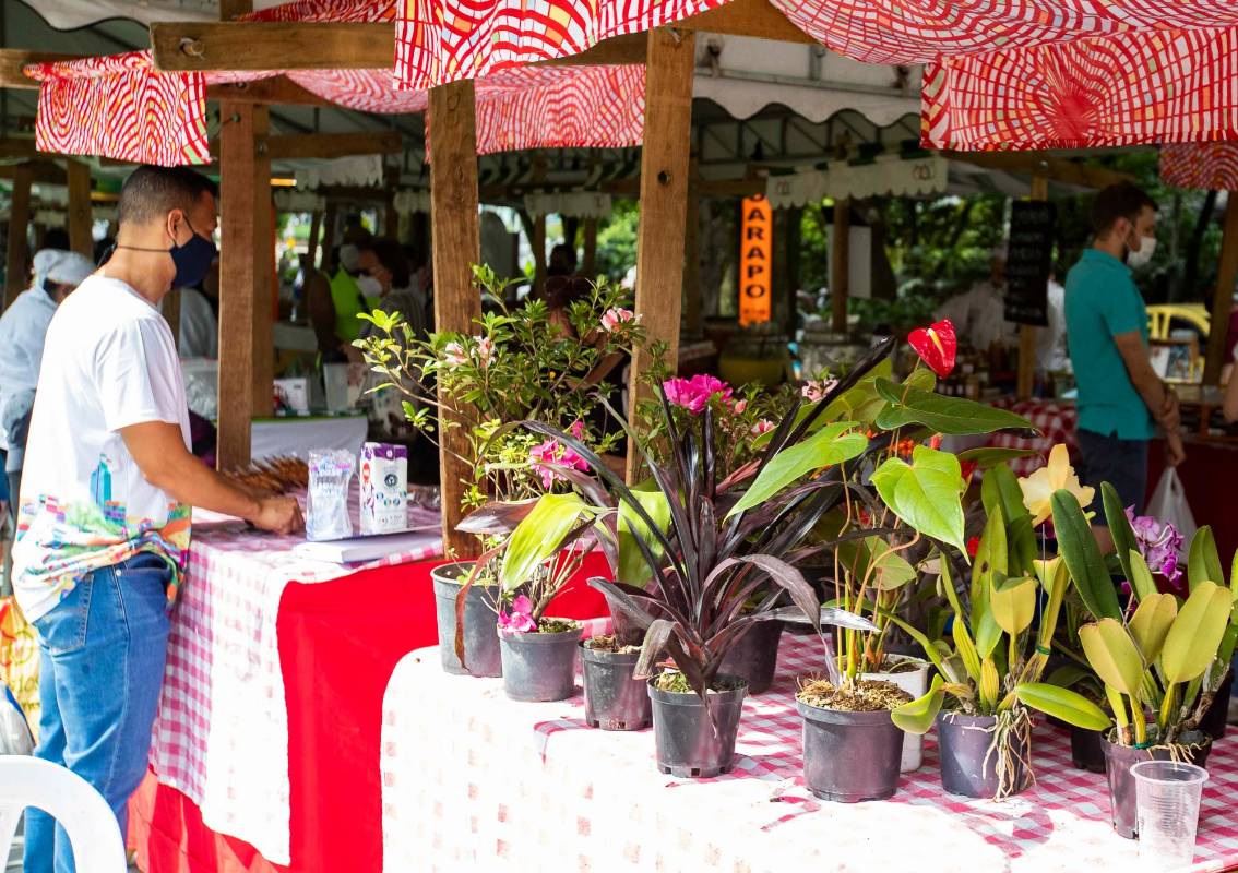 Mercados Campesinos es y seguirá siendo un programa que permitirán garantizar los ingresos para nuestra población rural. Foto: Manuel Saldarriaga Quintero