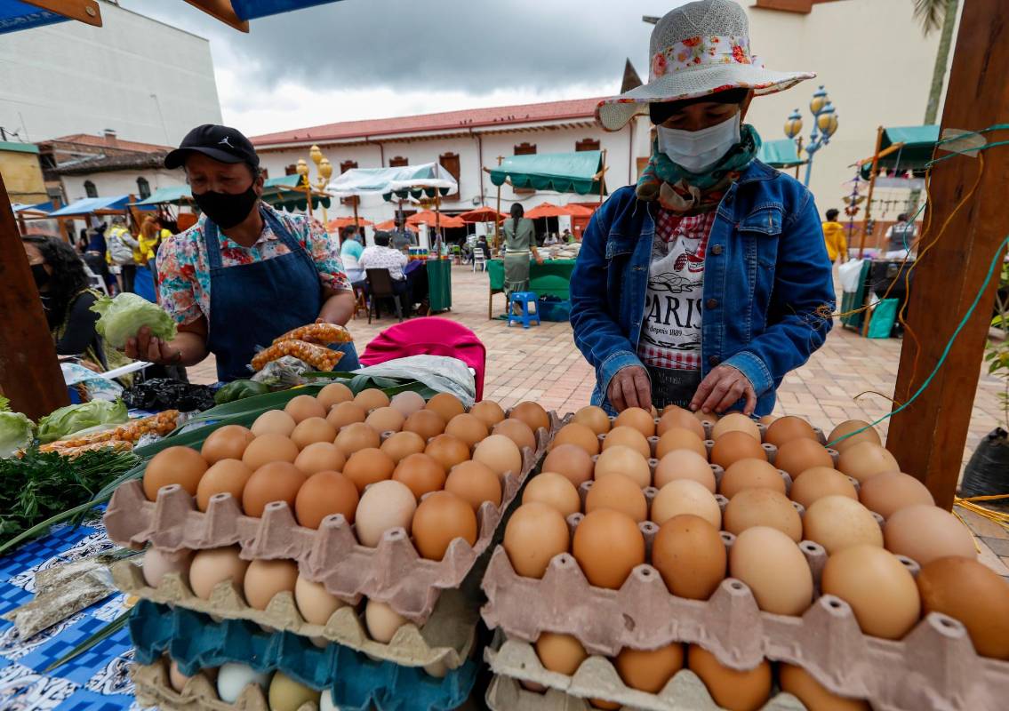 El Agro mercado se ha posesionado en El Carmen de Viboral como una propuesta de buenas prácticas para la canasta familiar Campesina. Foto: Manuel Saldarriaga Quintero.