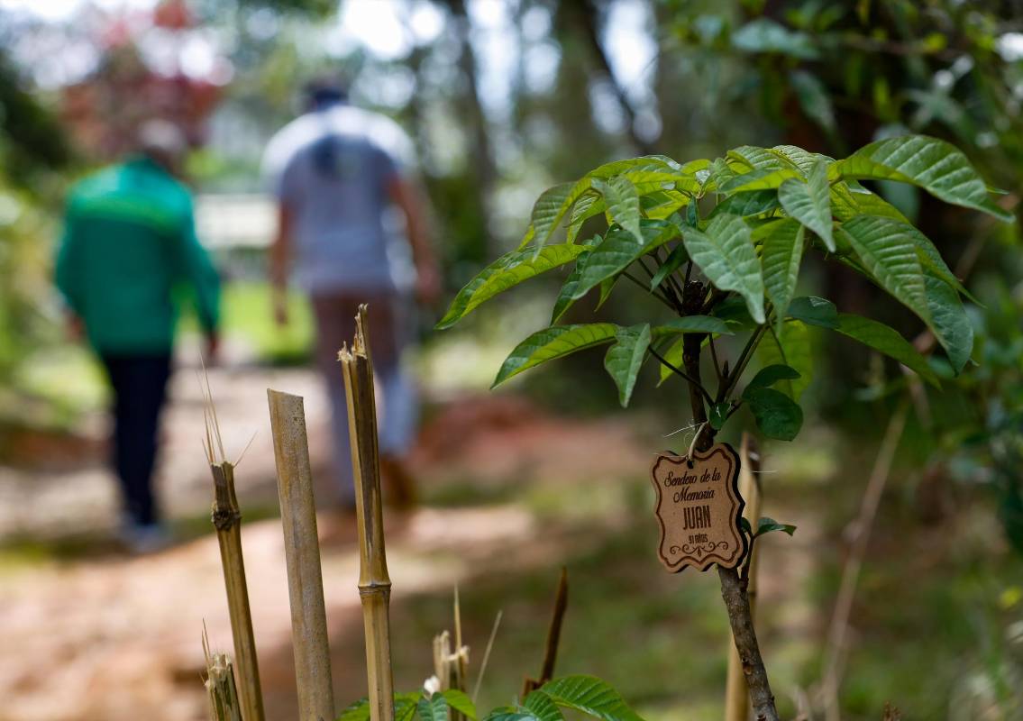 El Sendero de la Memoria está ubicado en el Parque La Brizuela en el Municipio de Guarne. Foto: Manuel Saldarriaga Quintero.