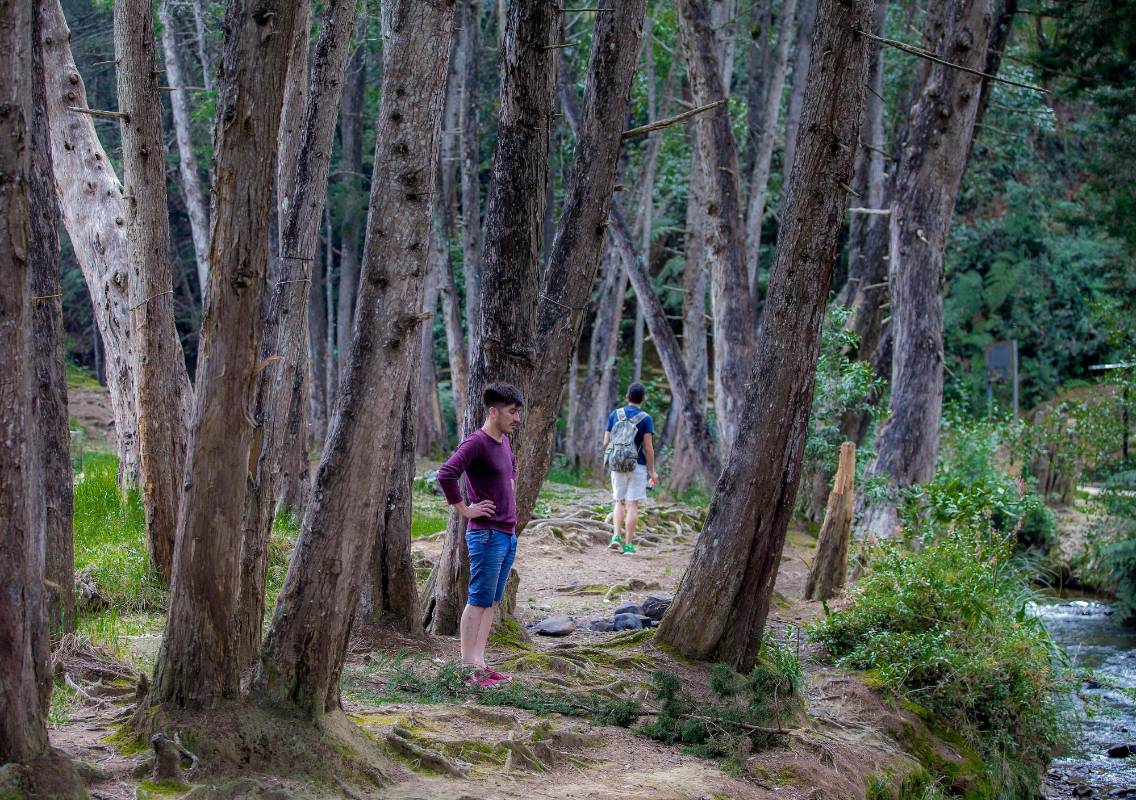 Arví tiene 1.761 hectáreas de vida para el Valle de Aburrrá. Foto Juan Antonio Sánchez Ocampo