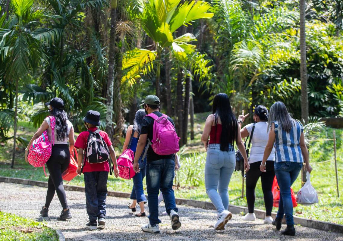 El Jardín Botánico de Medellín Joaquín Antonio Uribe es un jardín botánico de unas 13.2 hectáreas de extensión para el disfrute de la gente. Foto: Manuel Saldarriaga Quintero. 