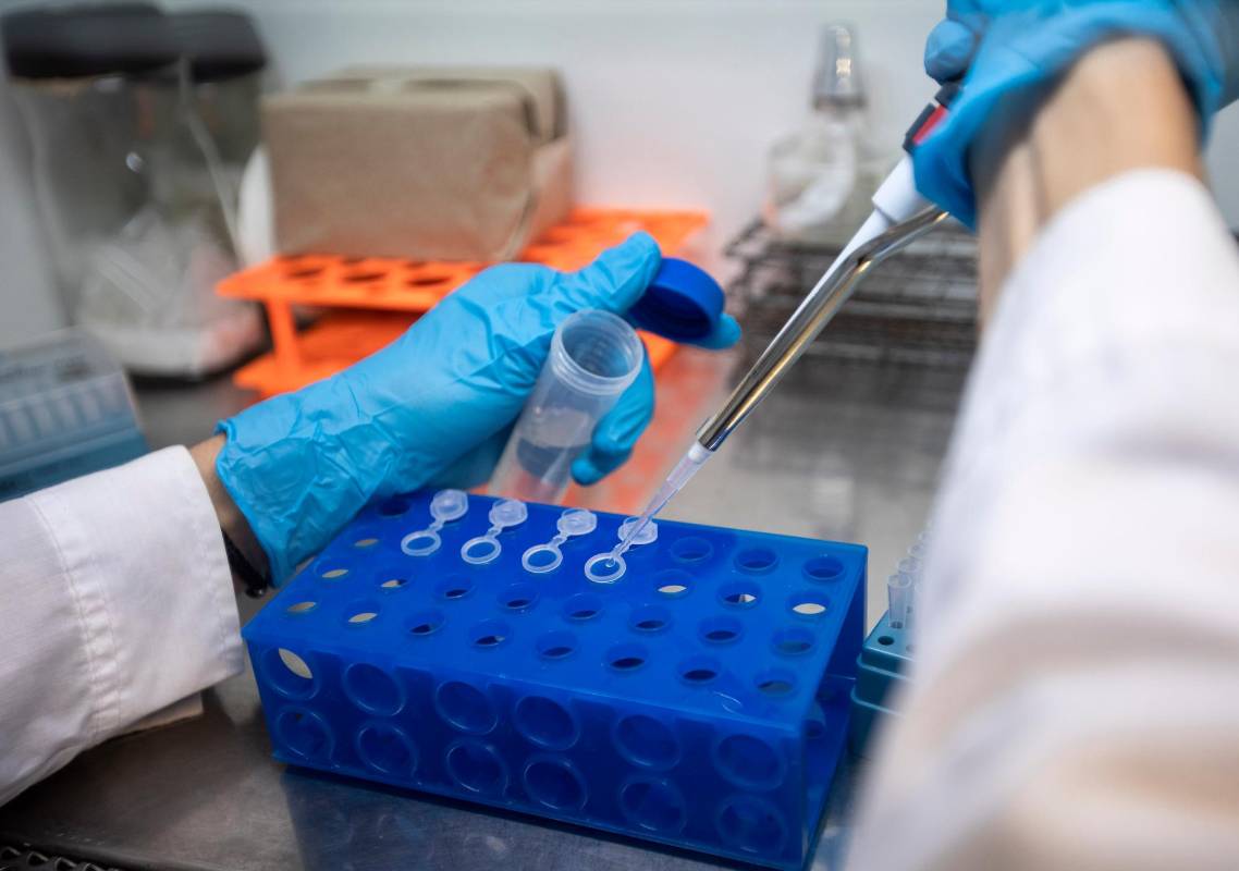 La Universidad CES de Medellín está trabajando con sus investigadores para desarrollar una vacuna contra el covid-19 que estaría lista en dos años. Foto Camilo Suárez