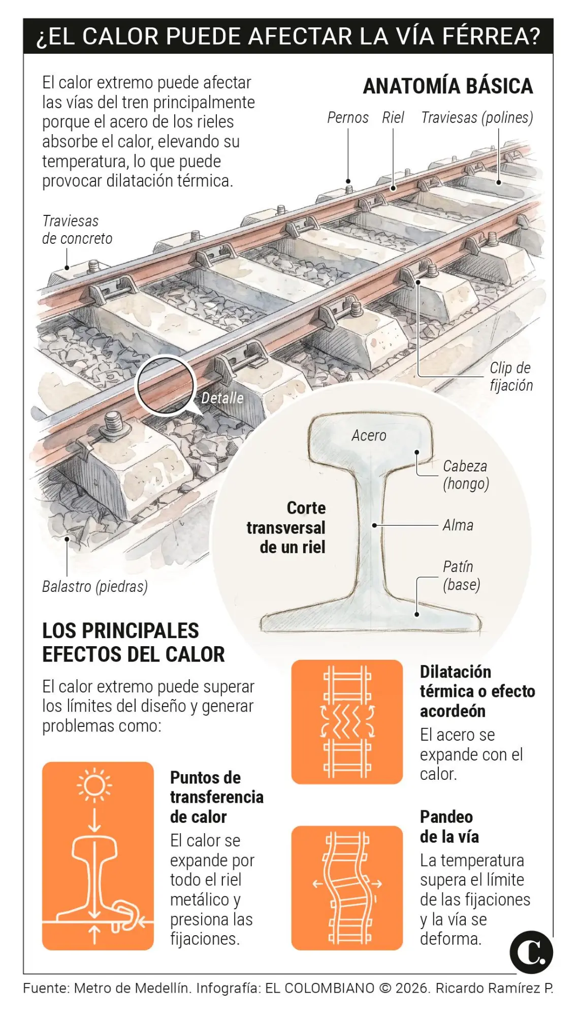InfogrÃ¡fico