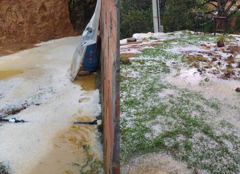 Así quedaron los cultivos después de la fuerte granizada en el municipio de Guarne. FOTO: Cortesía Alcaldía de Guarne
