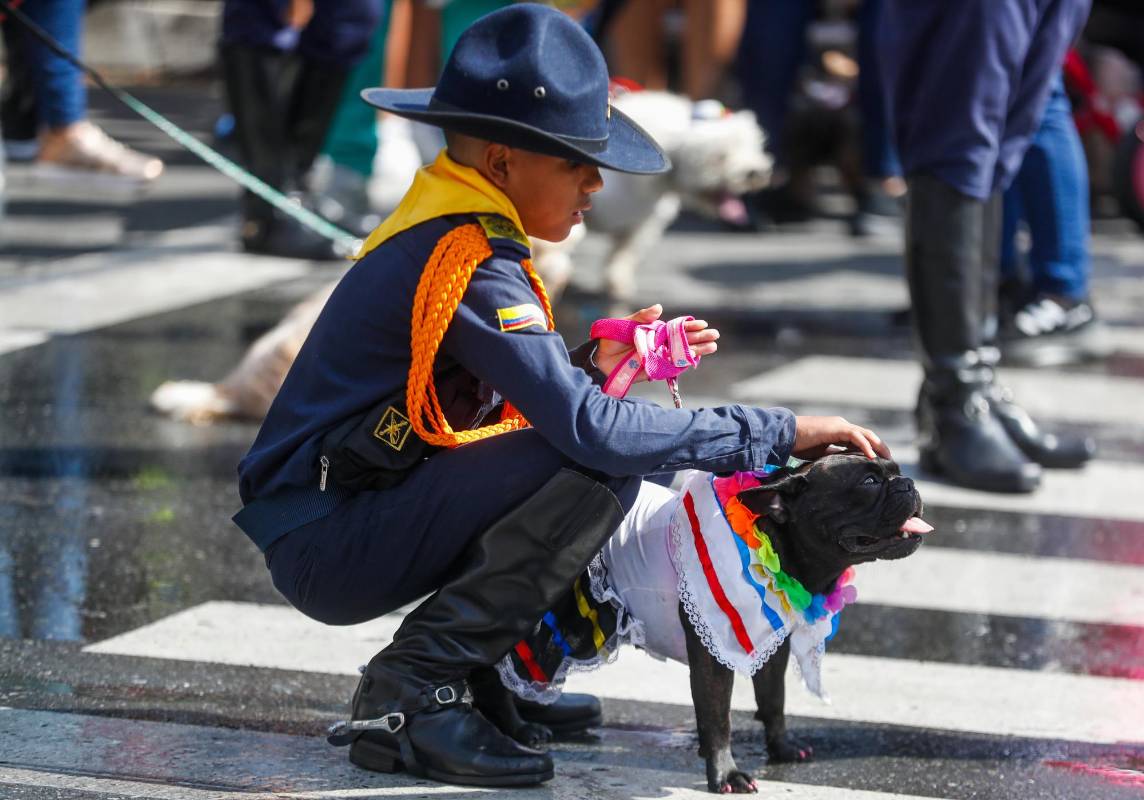 Más de 7.500 animalitos hicieron parte de la edición 23 de este evento dedicado a las mascotas. Foto: MANUEL SALDARRIAGA QUINTERO.