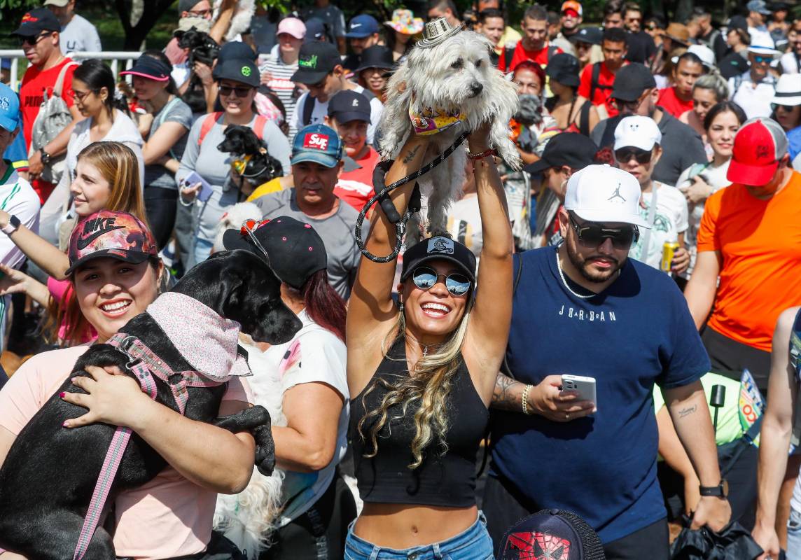 Se contaron con 20 puntos de hidratación, piscinas para que los perros se refrescaran, veterinarios y asistentes que estuvieron pendientes de los animales en todo el recorrido. Foto: MANUEL SALDARRIAGAS QUINTERO.