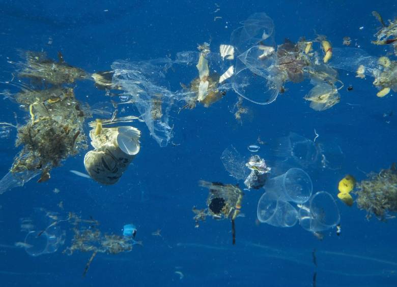 Los humanos deberán reducir la producción de plásticos y su llegada a los océanos. Foto: Getty