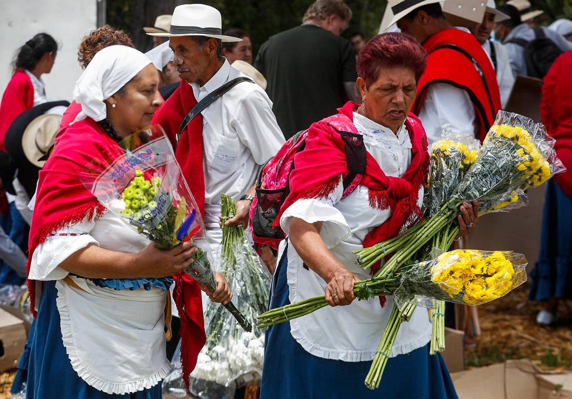 Los campesinos recibieron distintas especies, entre pompones, crisantemos y hortensias. FOTO Manuel Saldarriaga