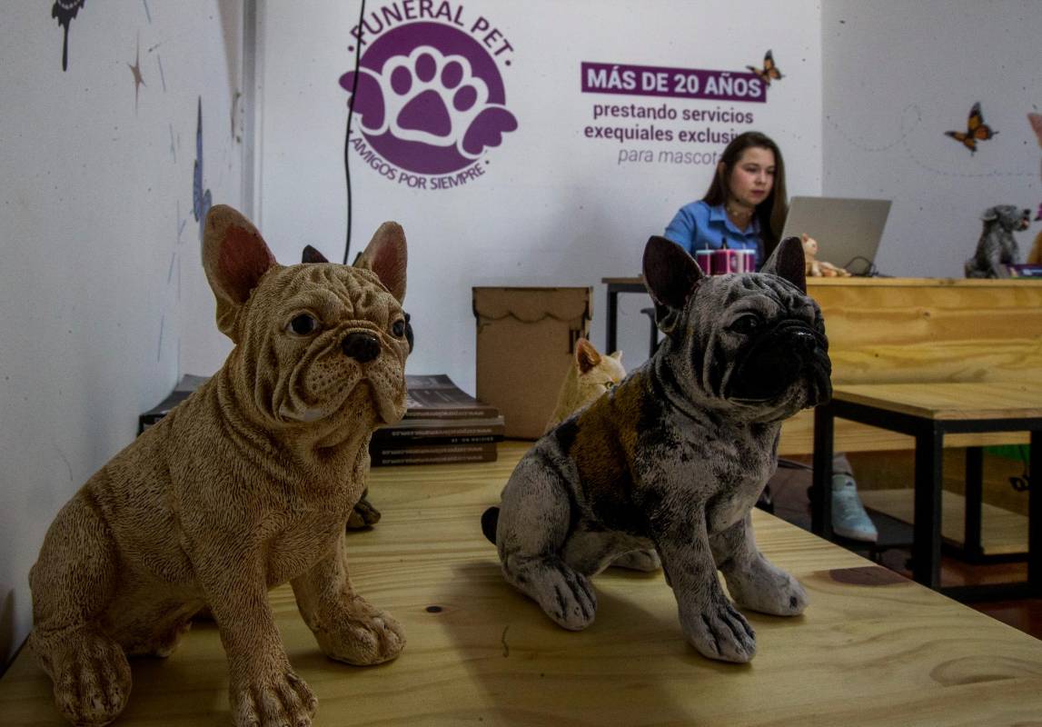 En el sector del estadio hay una sala de velación donde se cumple uno de los rituales que es encender la luz, por que significa el transcender de las mascota. Fotos : Julio César Herrera